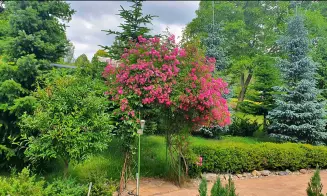 JANOVIČKY U BROUMOVA - chalupa s bazénem - foto číslo 10