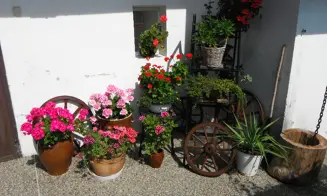 MARKOUŠOVICE - chalupa - foto číslo 11