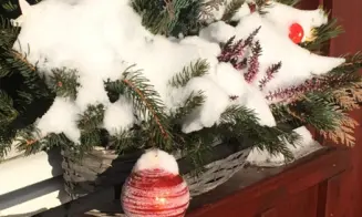 MARKOUŠOVICE - chalupa - foto číslo 30