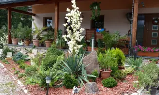 BOHDAŠÍN - apartmány - foto číslo 7