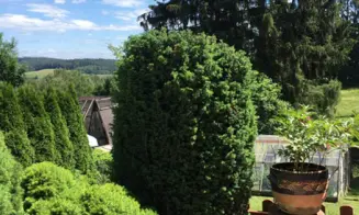 ÚPICE - chata - foto číslo 13