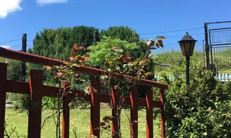 ÚPICE - chata - foto číslo 14