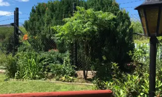 ÚPICE - chata - foto číslo 17