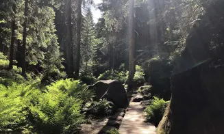 TEPLICE NAD METUJÍ - penzion - foto číslo 7