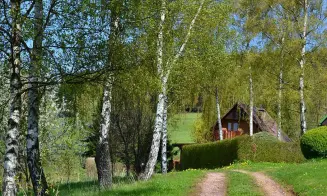 JANOVIČKY U BROUMOVA - chata - foto číslo 11