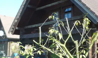 OLEŠNICE U ČERVENÉHO KOSTELCE *** - chalupa - foto číslo 34