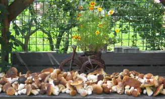 KAROLINKA - chata - foto číslo 10