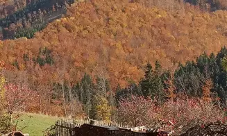 VELKÁ KYČERA - horní stylová dřevěnice - foto číslo 3