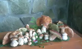 VELKÉ KARLOVICE - chalupa - foto číslo 14