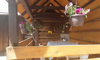 JANOVÁ - chalupa - foto číslo 13