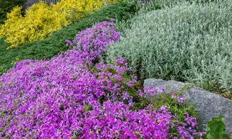 LUBNO - chata - foto číslo 15