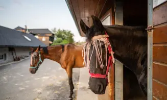 BYSTŘIČKA - luxusní chalupa s velkým bazénem - foto číslo 16