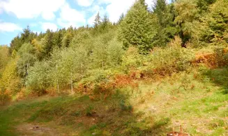 DOLNÍ BEČVA - chata - foto číslo 11