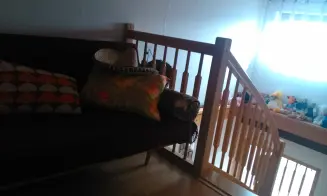 KAŠAVA - chata - foto číslo 13