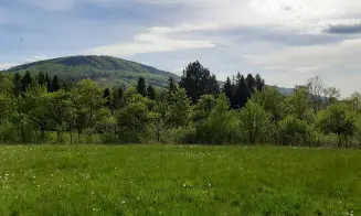 VEŘOVICE - apartmán - foto číslo 13