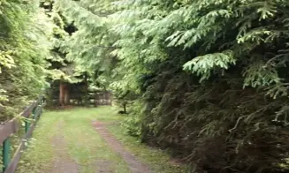 VLČKOVÁ U RUSAVY *** - chata - foto číslo 14