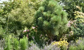 MLADOSTOV -  chalupa na samotě - foto číslo 19