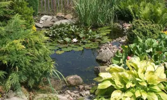 ŽDÍRNICE - chalupa - foto číslo 26