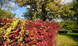 TUŽÍN  - chata - foto číslo 14