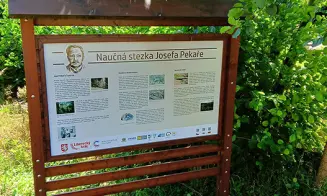 VAZOVEC - rekreační dům - foto číslo 17