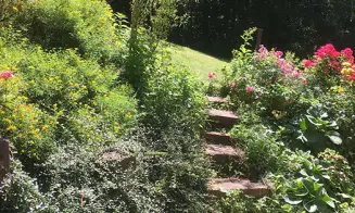 SYŘENOV - roubenka - foto číslo 17