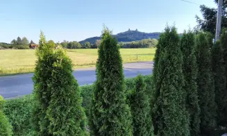 BOREK - apartmán - foto číslo 2