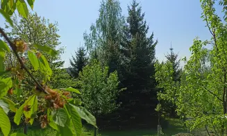 HOLENICE - dům s přítomností majitele - foto číslo 26