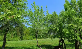 HOLENICE - dům s přítomností majitele - foto číslo 15