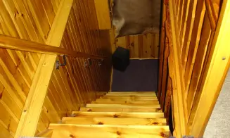 VŠEMILY  - chata - foto číslo 6