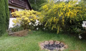 JETŘICHOVICE - chata - foto číslo 8