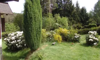 JETŘICHOVICE - chata - foto číslo 7