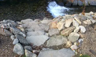 LUDVÍKOV - chalupa se zapuštěným bazénem - foto číslo 3