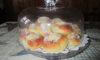 DOLNÍ LIPOVÁ - apartmán - foto číslo 7