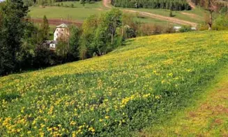 STŘÍBRNICE - chalupa - foto číslo 17