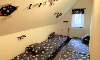 HANUŠOVICE - chalupa - foto číslo 29