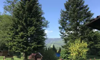 DOMAŠOV - horská chalupa - foto číslo 5