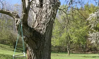 HOSTICE - chalupa - foto číslo 42