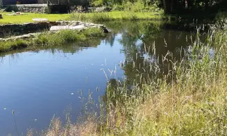 VERNÍŘOVICE - 3 apartmány - foto číslo 33