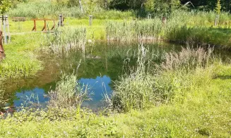 VERNÍŘOVICE - 3 apartmány - foto číslo 26