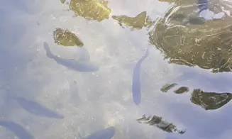 VERNÍŘOVICE - 3 apartmány - foto číslo 34