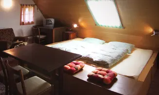 NOVÉ LOSINY - stylová horská dřevěnice - foto číslo 5