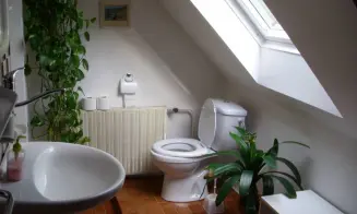 LOUČNÁ NAD DESNOU - chalupa - foto číslo 18