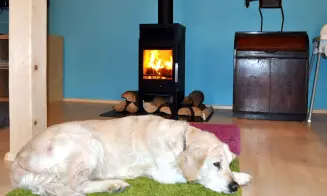 NOVÉ LOSINY - chalupa - foto číslo 10