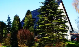 VELKÁ ŠTÁHLE -  chalupa - foto číslo 14