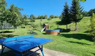 NEDVĚZÍ - chalupa na samotě s bazénem - foto číslo 8