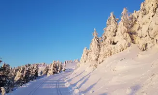 STŘÍBRNICE - roubenka - foto číslo 4