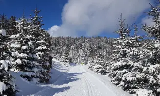 STŘÍBRNICE - roubenka - foto číslo 46