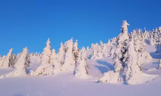 STŘÍBRNICE - srub - foto číslo 25
