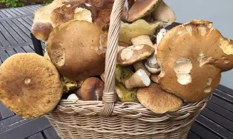 BUDIŠOVICE - chata - foto číslo 7