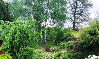 STARÁ VES - chata - foto číslo 5